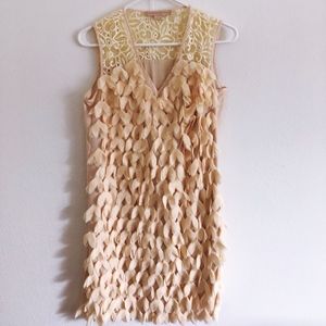 Anthro- Champagne and Strawberry Petal Dress